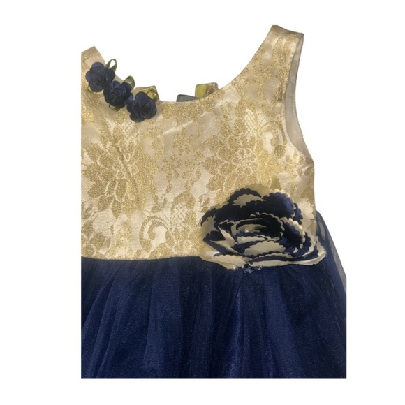 Gold & Navy Blue Lace Party Dress – Size 16 (Baby/Toddler) - Picture 3 of 6